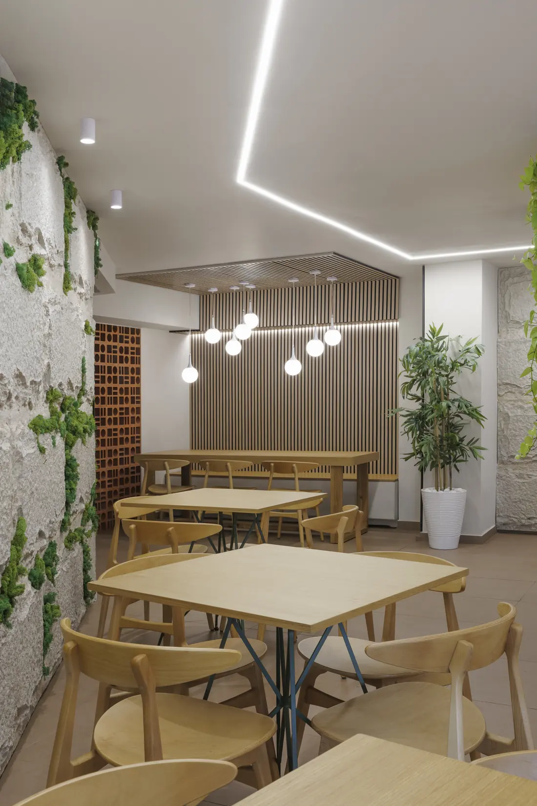 Textured wall finish with plants